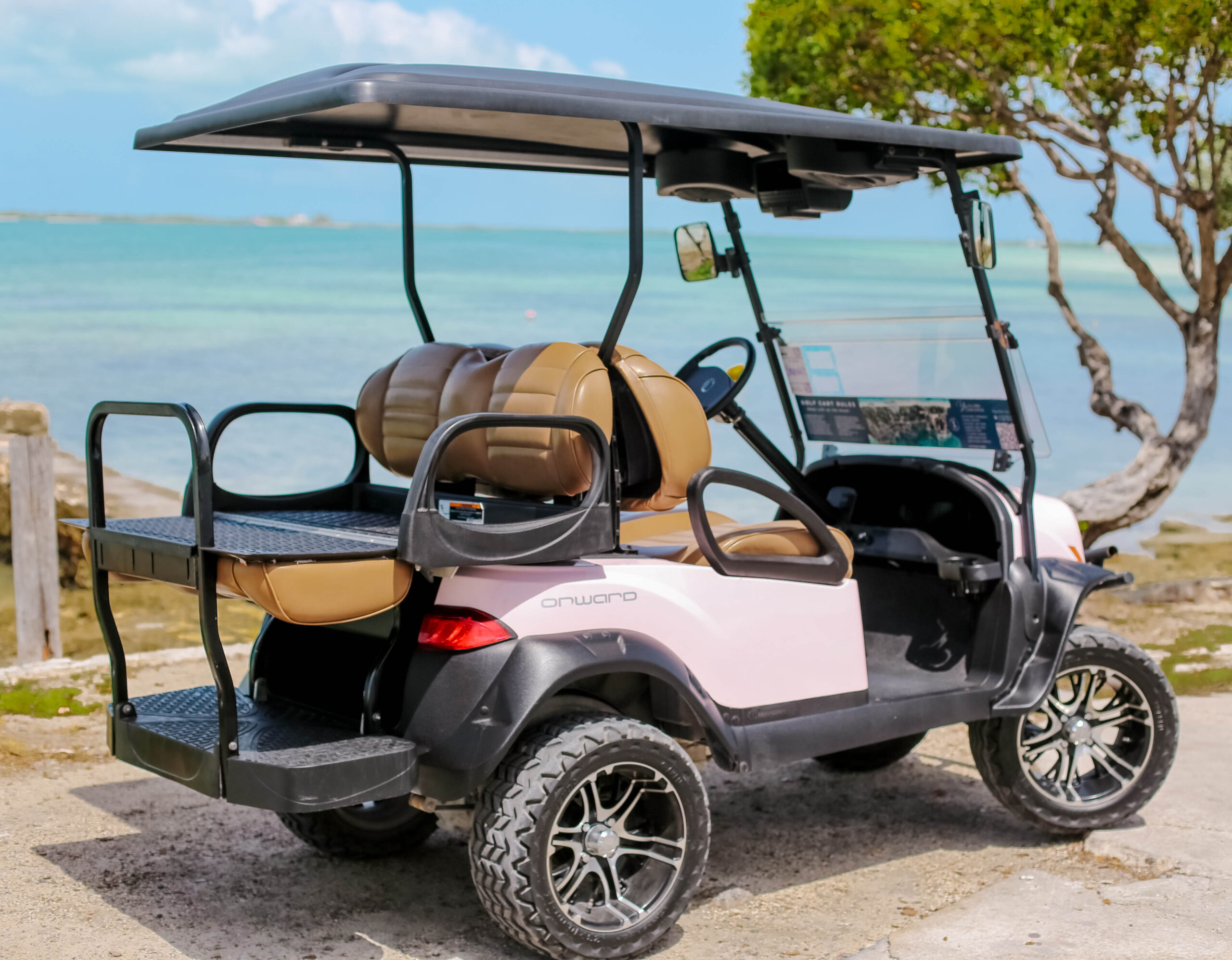 Luxury Four Seater Cart Rental Back View