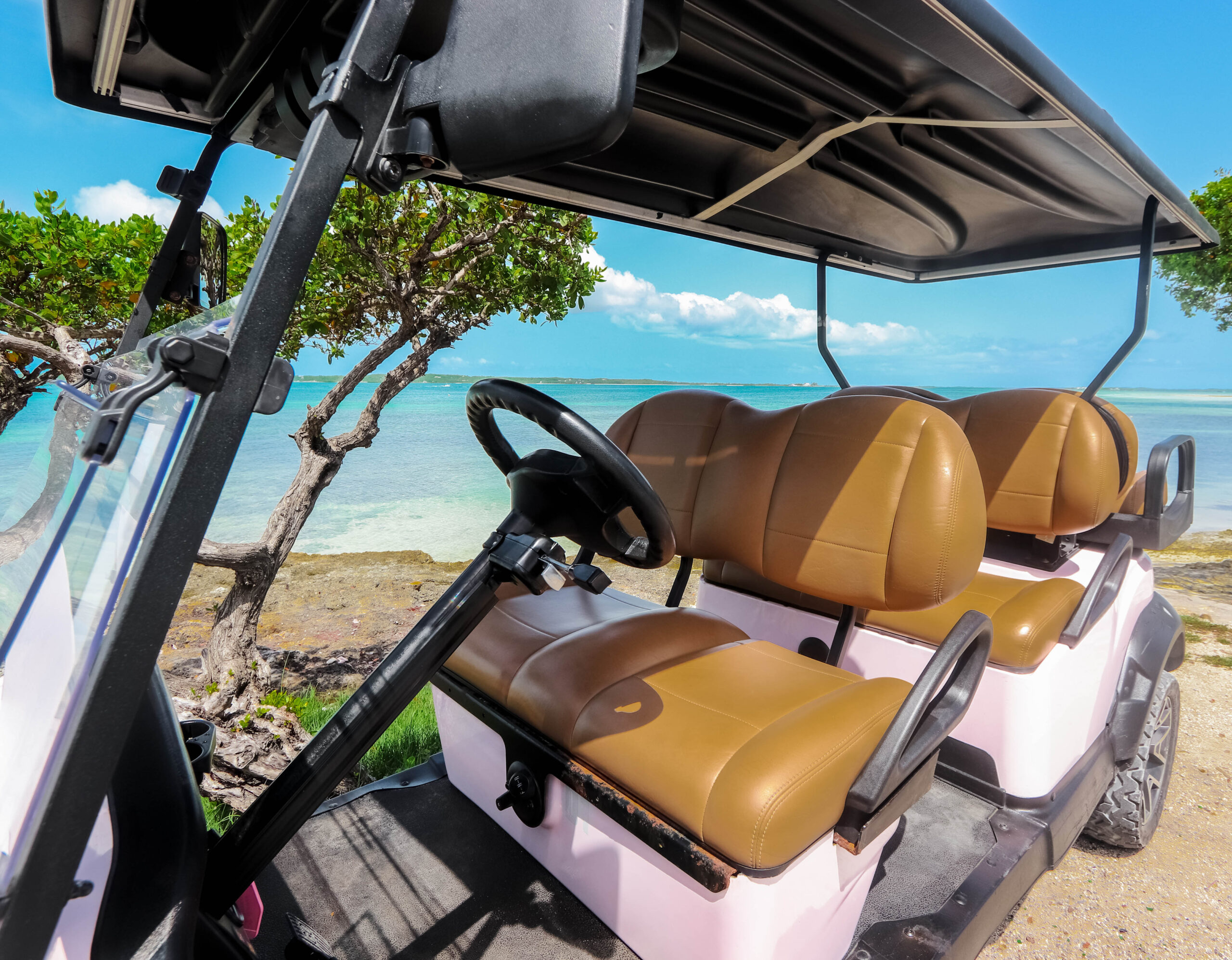 Luxury Six Seater Cart Rental Seating View