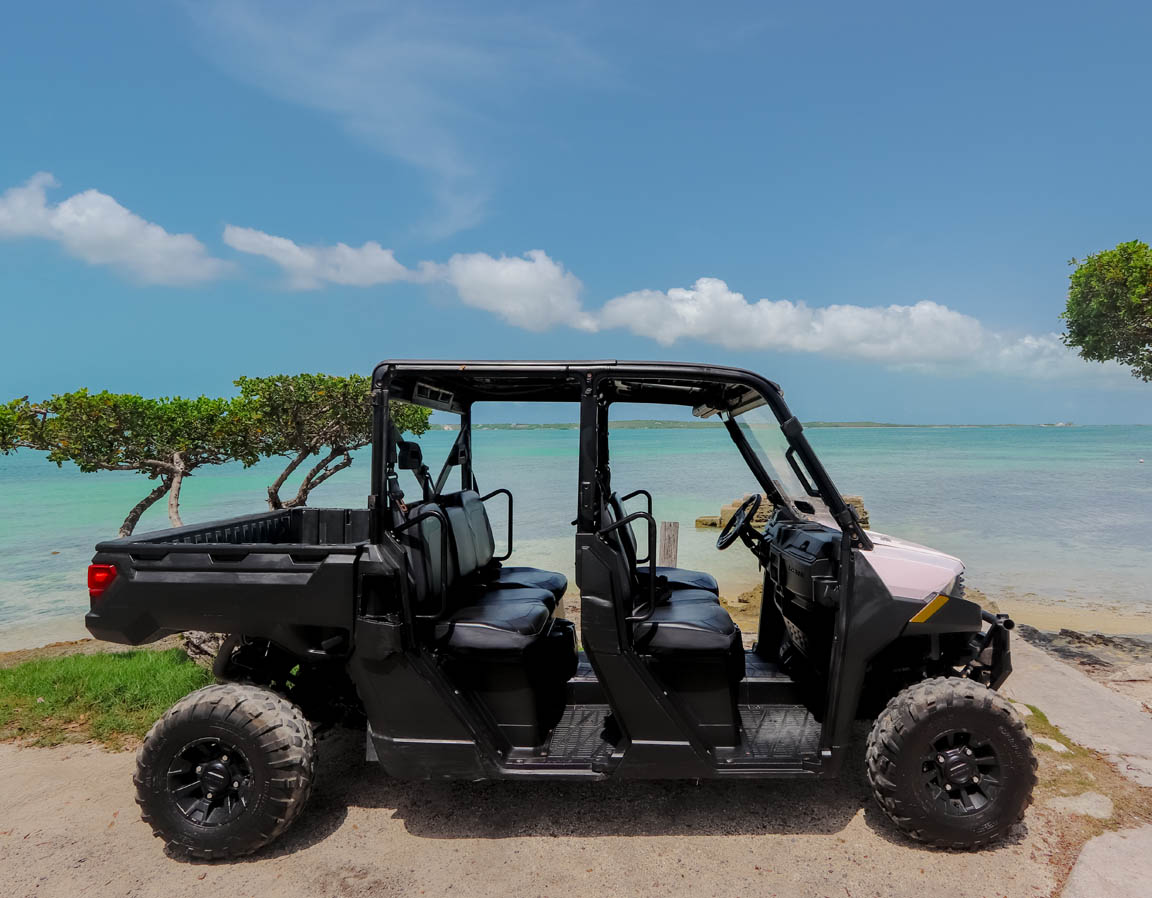 Polaris Gold Cart Rental Side View