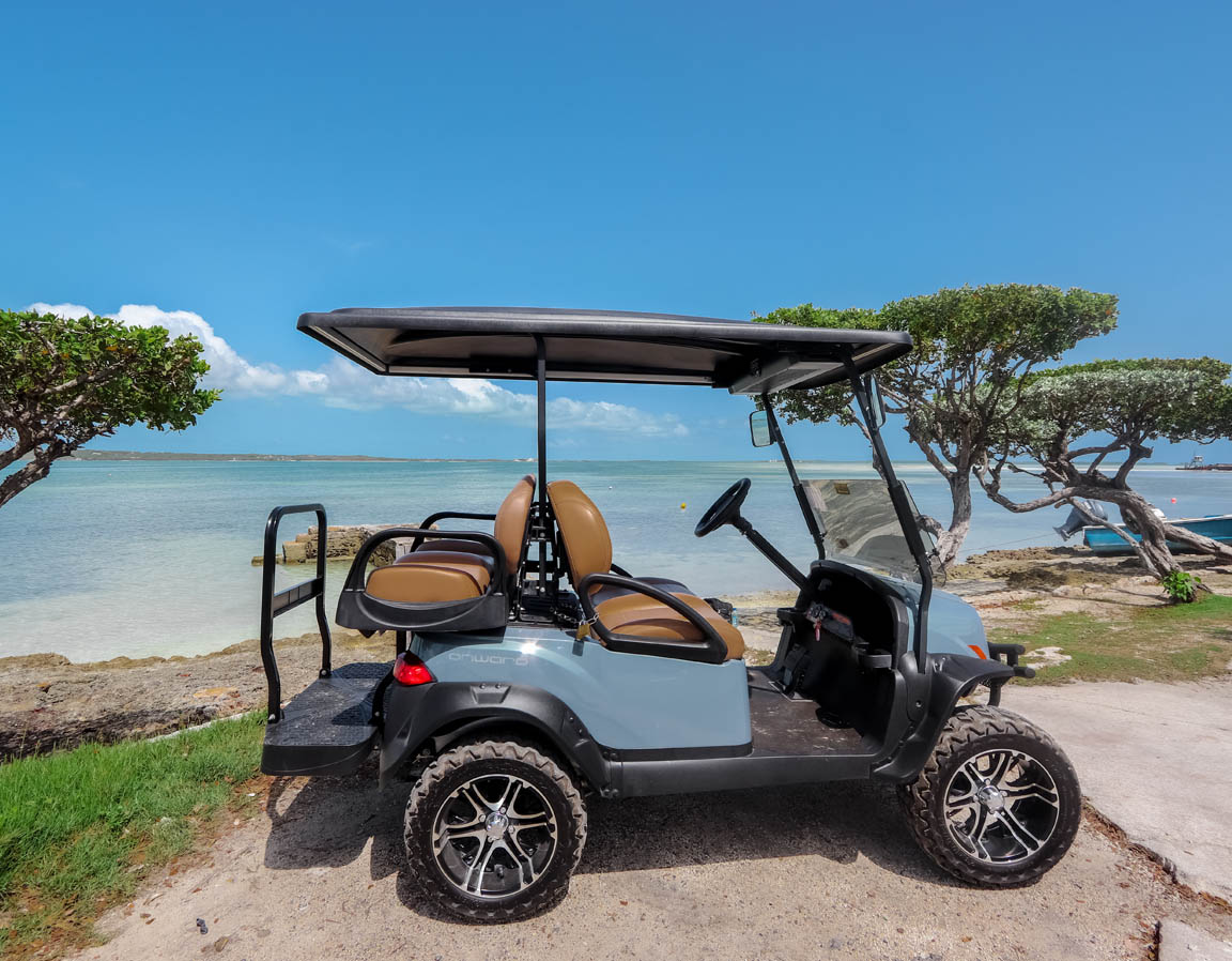Premium Four Seater Golf Cart Rental Side View